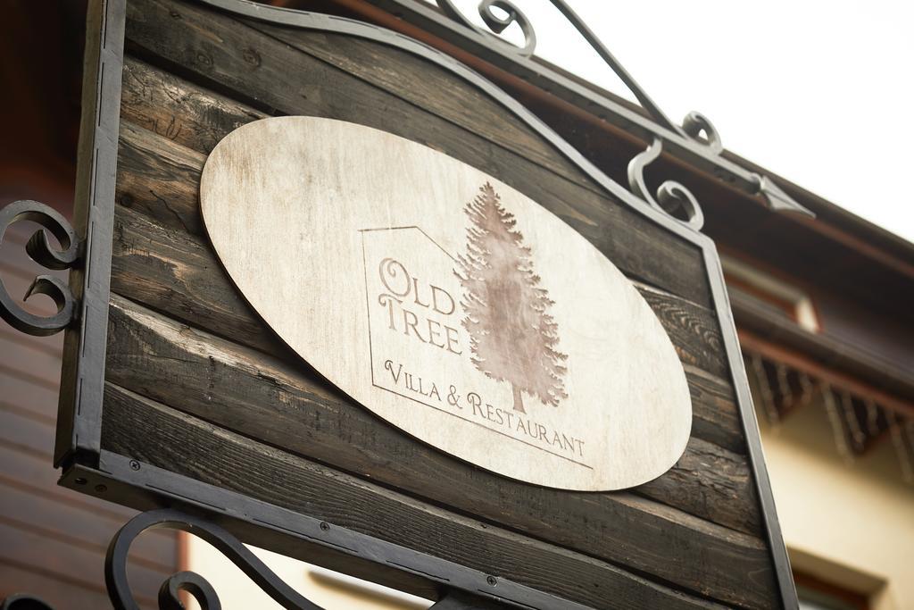 Old Tree Villa & Restaurant オシフィエンチム エクステリア 写真